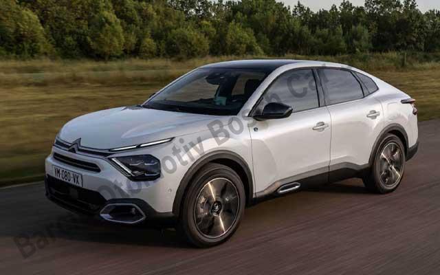 Citroen Bakım ve Onarım Çözümleri